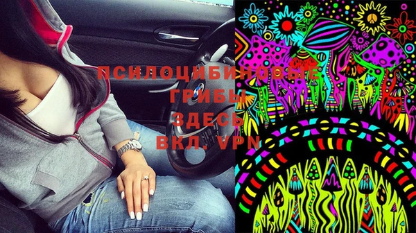 гидропоника Алексеевка