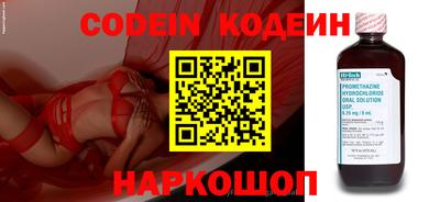 индика Камышлов