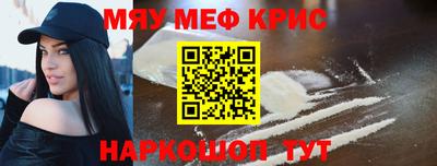 индика Камышлов