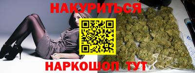 индика Камышлов