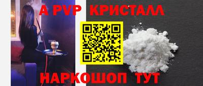 индика Камышлов