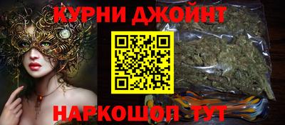 индика Камышлов