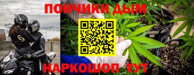 индика Камышлов