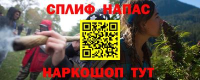 индика Камышлов