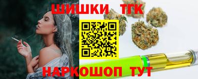 индика Камышлов