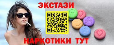 индика Камышлов