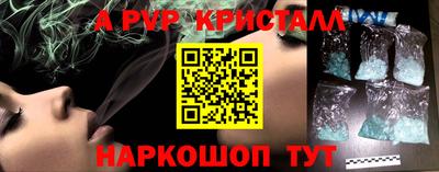 индика Камышлов