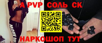 индика Камышлов