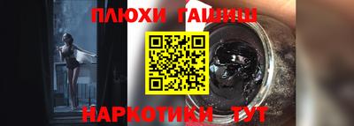индика Камышлов