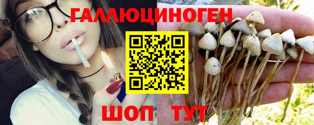 Галлюциногенные грибы ЛСД  наркота  Тула  Псилоцибиновые грибы мицелий  Вход с VPN 